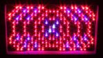 500w LED Grow Light